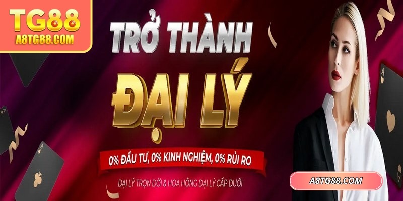 Chương trình cung cấp hướng dẫn chi tiết, đào tạo trực tuyến